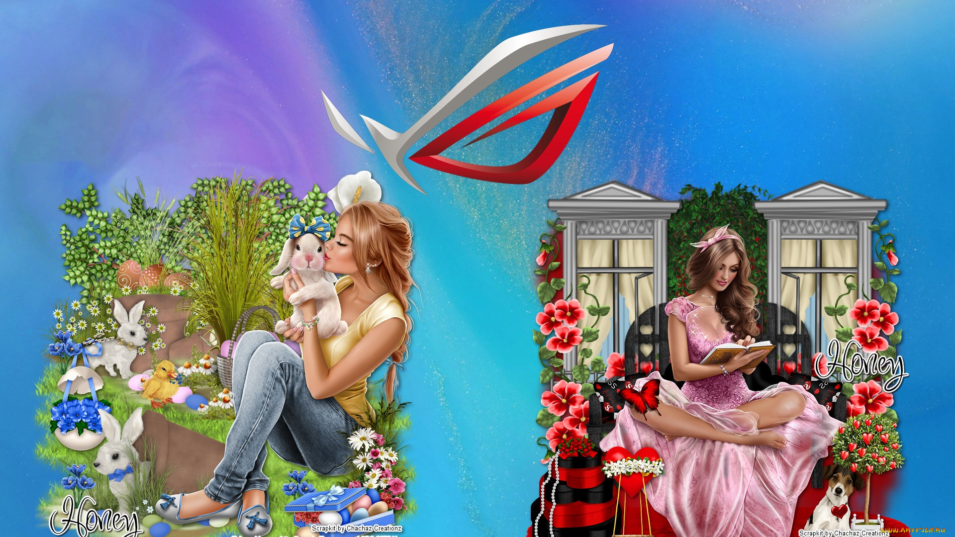 , asus, , 
